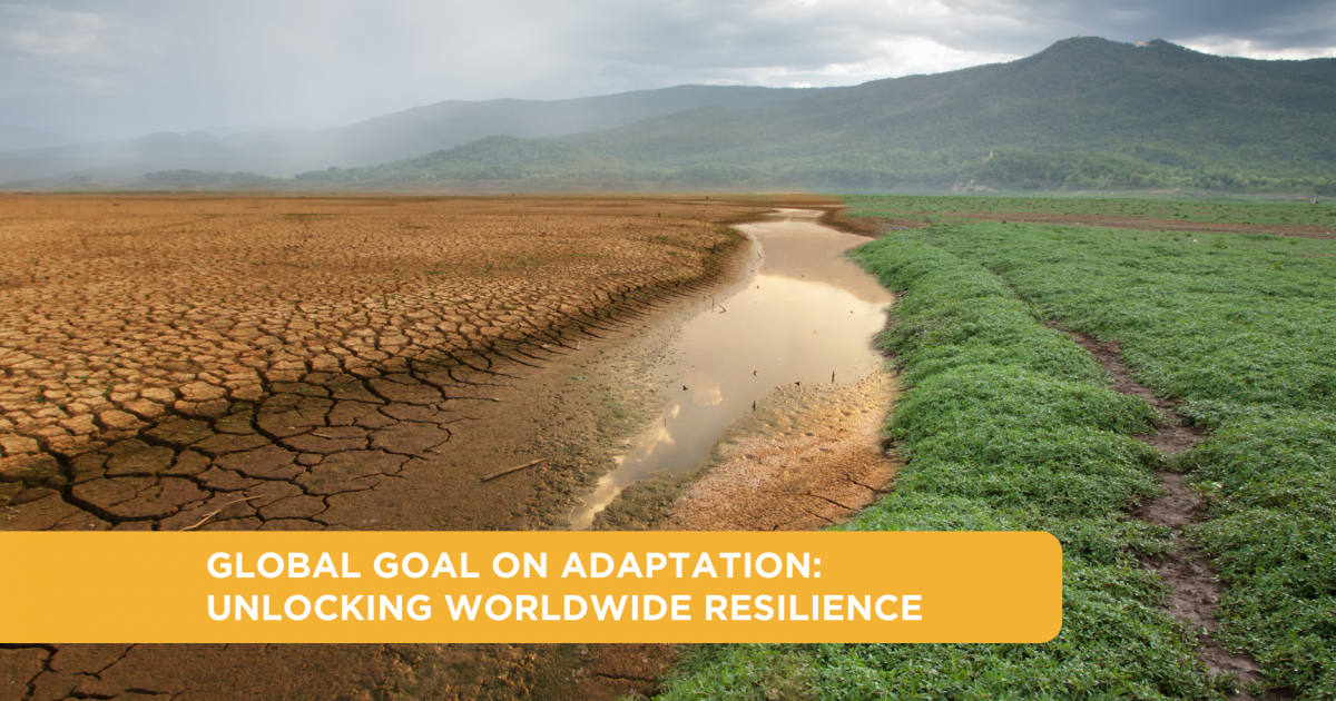 The Flexibility Constitution: Unlocking the Power of Adaptation and Resilience