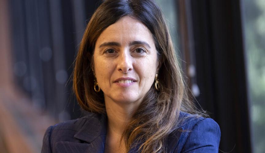 ANSA: Magaldi, servono incentivi mirati per l'indipendenza energetica