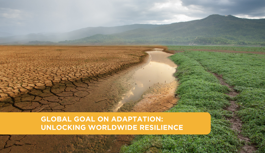 Global Goal on Adaptation: Unlocking worldwide resilience